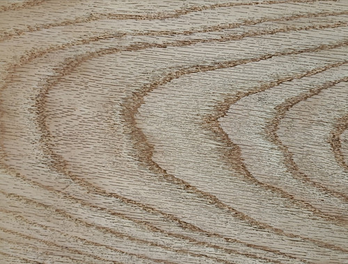 روکش بلوط قرمز اروپایی